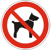 Interdiction chiens   